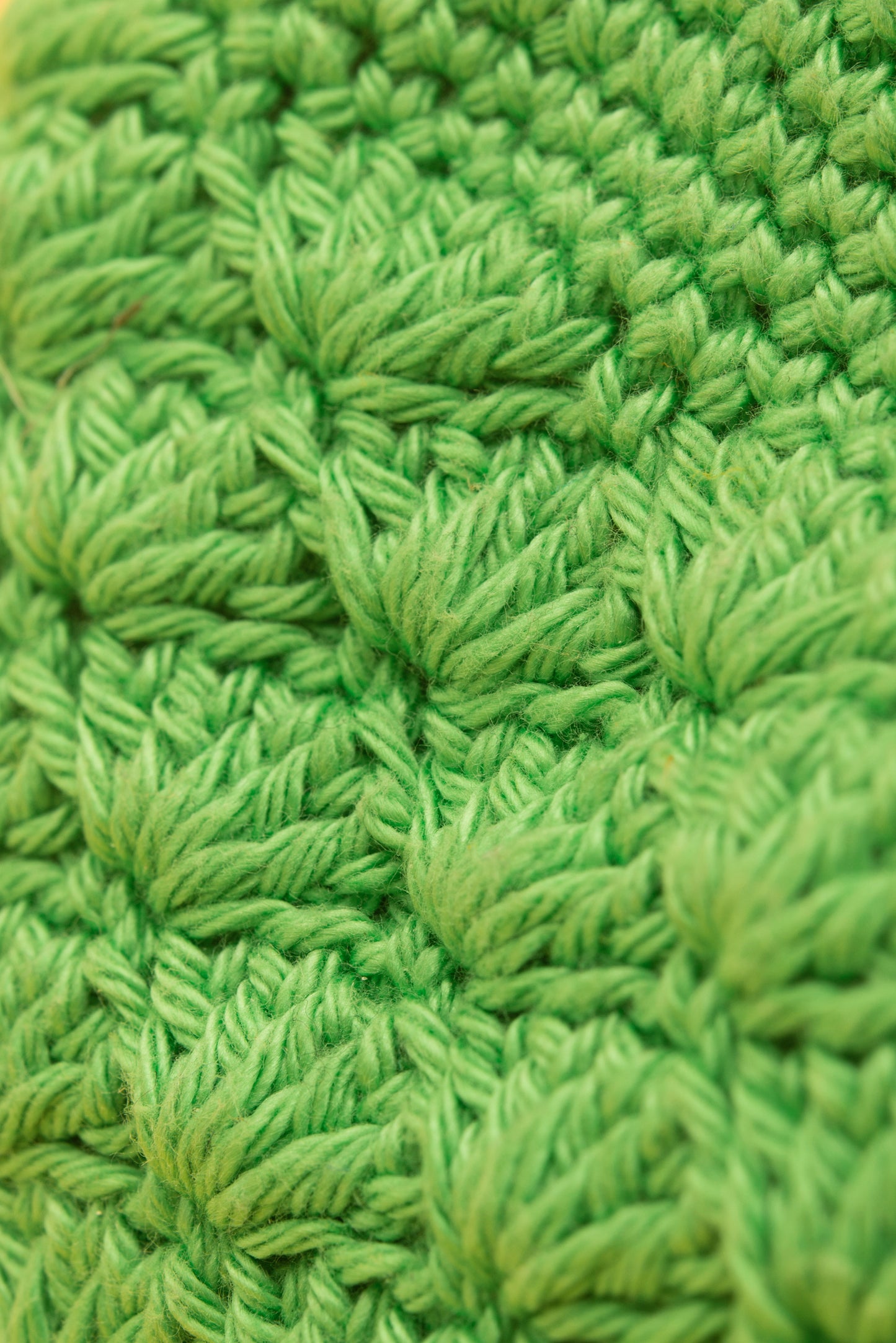 Monedero de crochet CLOROFILA