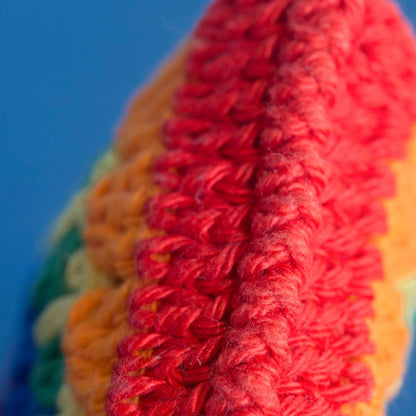 Monedero de crochet ARCOIRIS